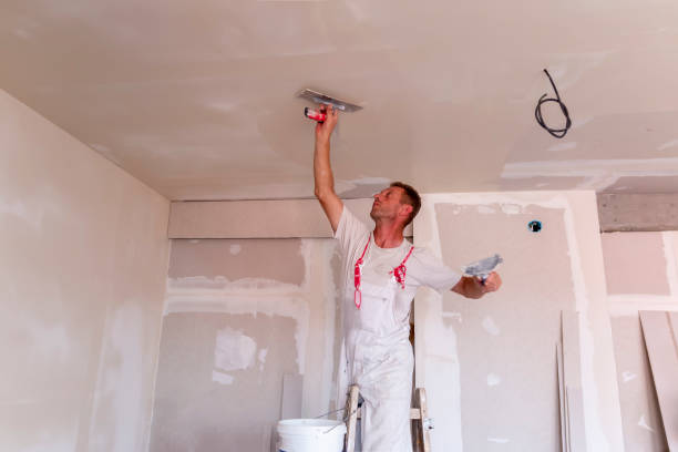 Best Drywall Installation  in , MS